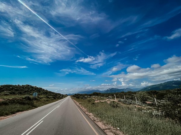 Les voitures de pompiers dans la pop culture